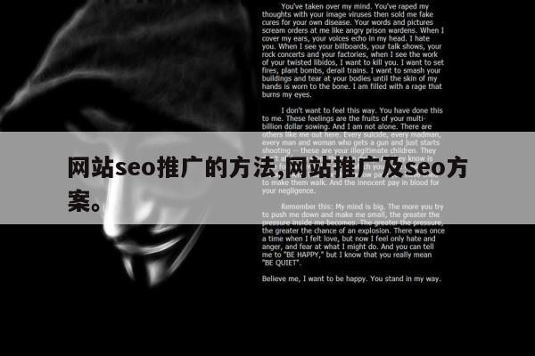 网站seo推广的方法,网站推广及seo方案。