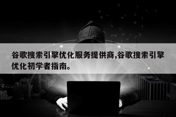 谷歌搜索引擎优化服务提供商,谷歌搜索引擎优化初学者指南。
