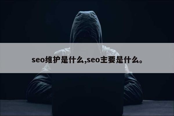 seo维护是什么,seo主要是什么	。