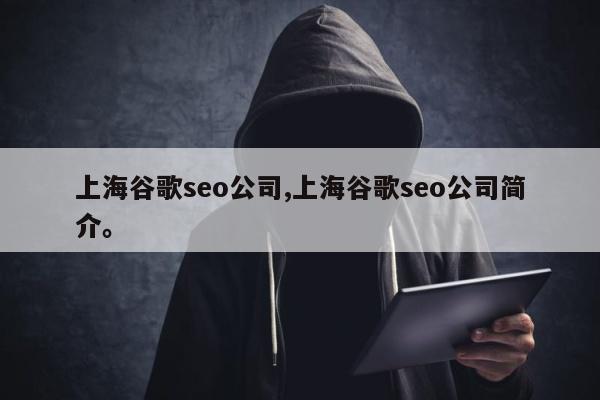 上海谷歌seo公司,上海谷歌seo公司简介。