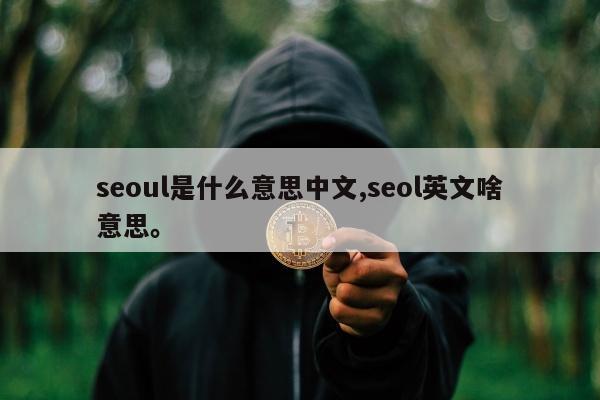 seoul是什么意思中文,seol英文啥意思	。