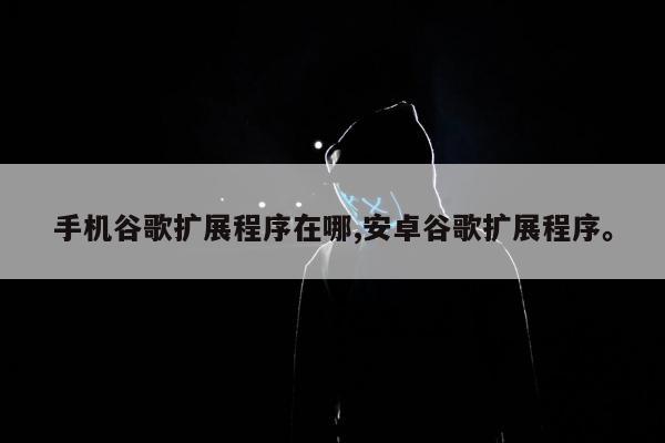 手机谷歌扩展程序在哪,安卓谷歌扩展程序	。