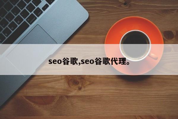 seo谷歌,seo谷歌代理。