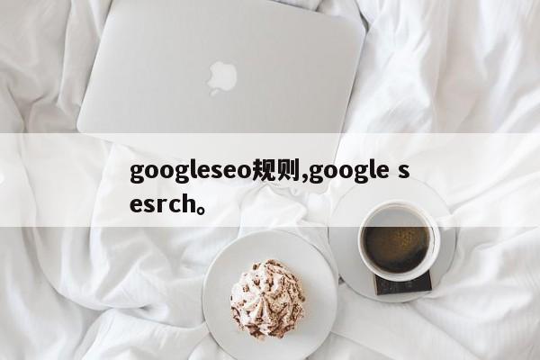 googleseo规则,google sesrch。