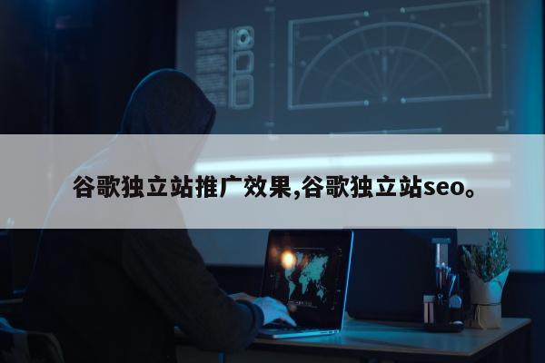 谷歌独立站推广效果,谷歌独立站seo。