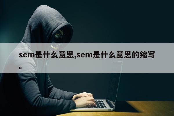 sem是什么意思,sem是什么意思的缩写。