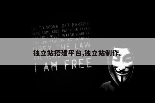 独立站搭建平台,独立站制作。