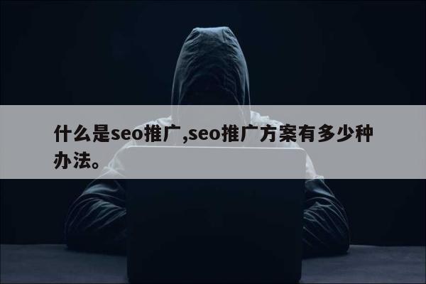 什么是seo推广,seo推广方案有多少种办法。