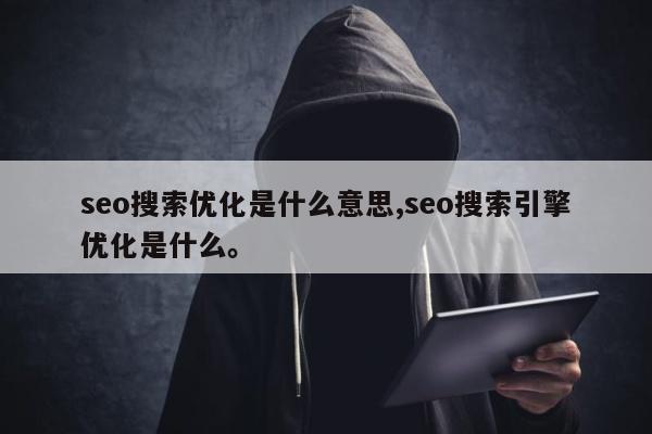 seo搜索优化是什么意思,seo搜索引擎优化是什么。