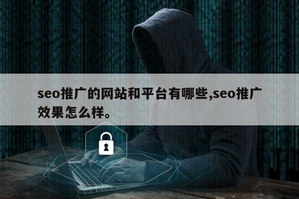 seo推广的网站和平台有哪些,seo推广效果怎么样。