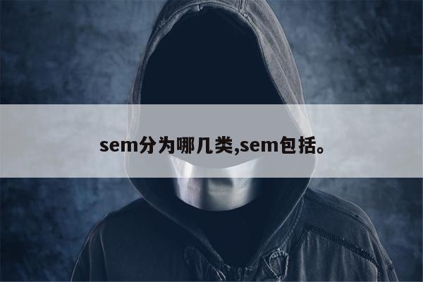 sem分为哪几类,sem包括。