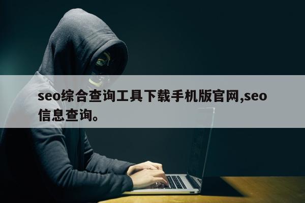 seo综合查询工具下载手机版官网,seo信息查询	。