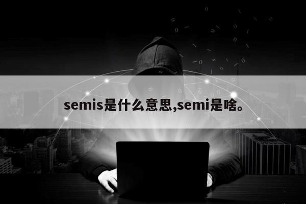 semis是什么意思,semi是啥。