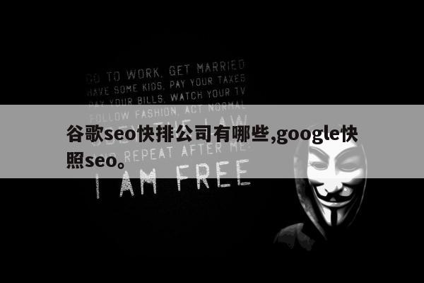 谷歌seo快排公司有哪些,google快照seo。