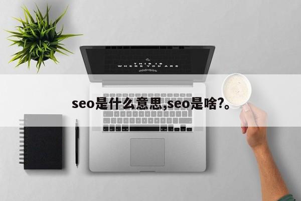 seo是什么意思,seo是啥?	。