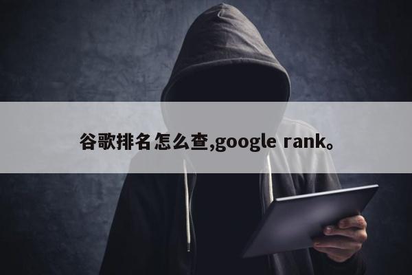 谷歌排名怎么查,google rank	。