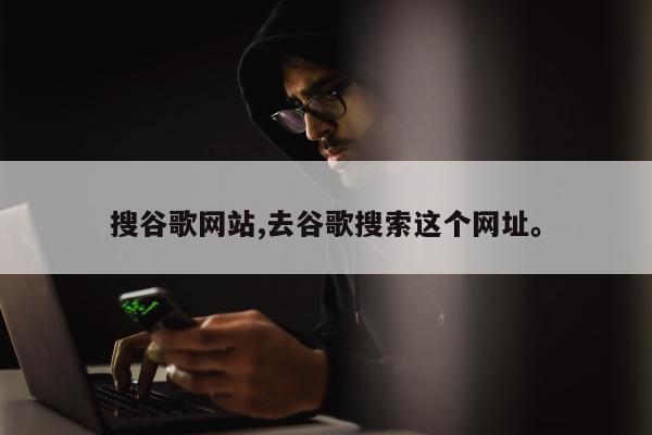 搜谷歌网站,去谷歌搜索这个网址。