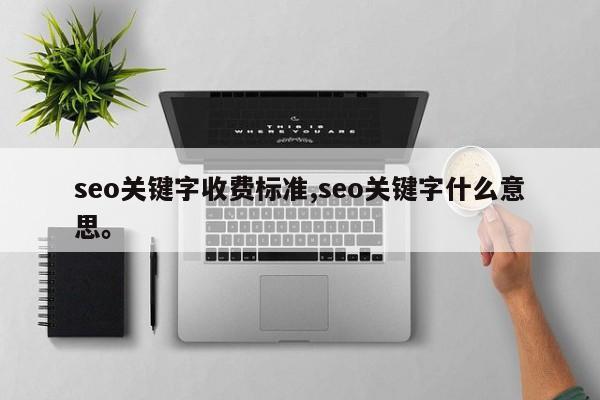 seo关键字收费标准,seo关键字什么意思。
