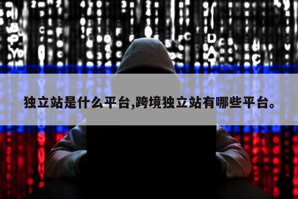 独立站是什么平台,跨境独立站有哪些平台。