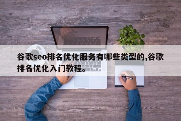 谷歌seo排名优化服务有哪些类型的,谷歌排名优化入门教程。
