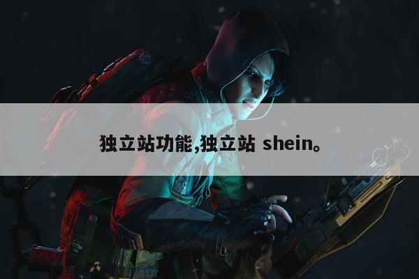 独立站功能,独立站 shein。