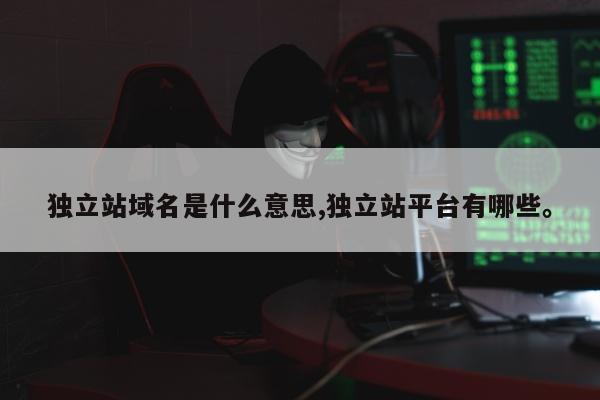 独立站域名是什么意思,独立站平台有哪些。