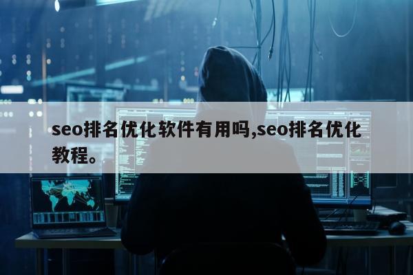 seo排名优化软件有用吗,seo排名优化教程。