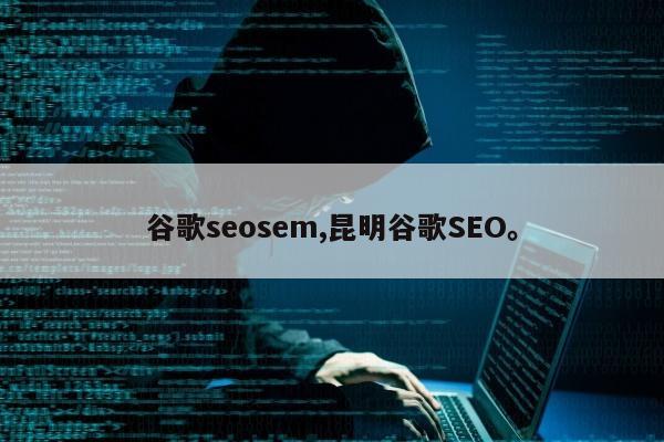谷歌seosem,昆明谷歌SEO。