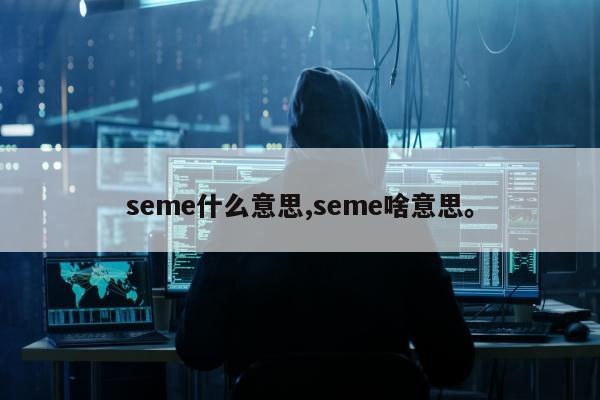 seme什么意思,seme啥意思。