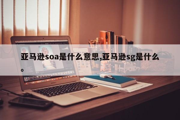 亚马逊soa是什么意思,亚马逊sg是什么。