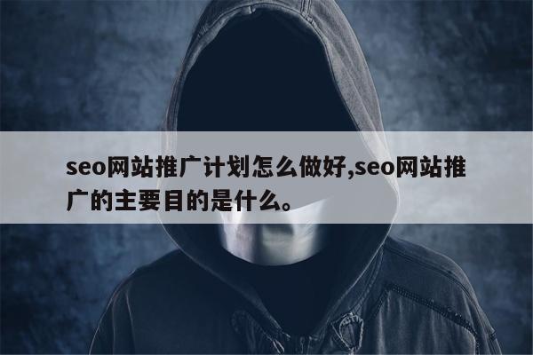 seo网站推广计划怎么做好,seo网站推广的主要目的是什么。