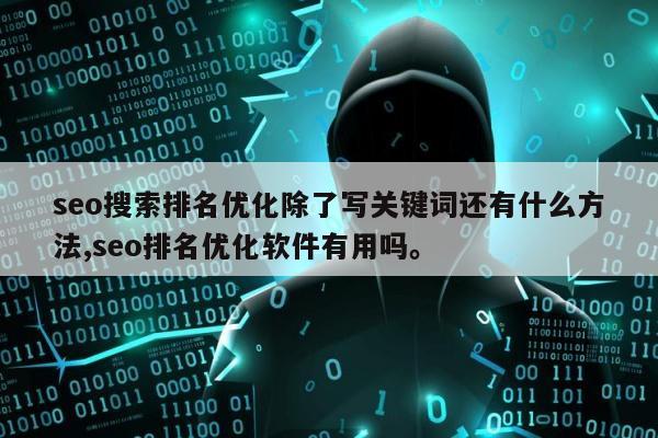 seo搜索排名优化除了写关键词还有什么方法,seo排名优化软件有用吗。