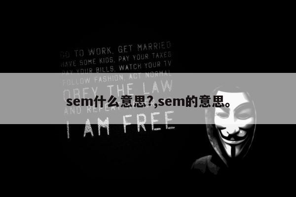sem什么意思?,sem的意思。
