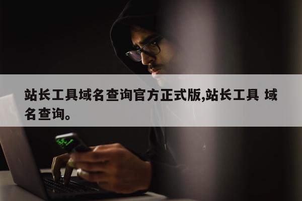 站长工具域名查询官方正式版,站长工具 域名查询。