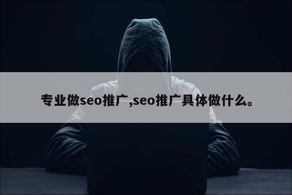 专业做seo推广,seo推广具体做什么。