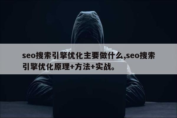 seo搜索引擎优化主要做什么,seo搜索引擎优化原理+方法+实战。