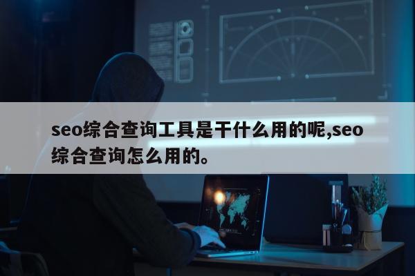 seo综合查询工具是干什么用的呢,seo综合查询怎么用的。