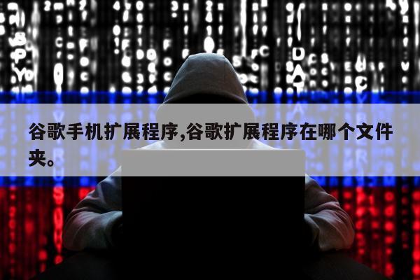 谷歌手机扩展程序,谷歌扩展程序在哪个文件夹。