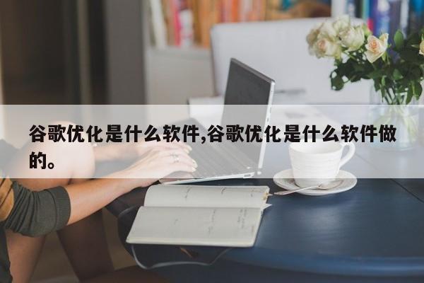 谷歌优化是什么软件,谷歌优化是什么软件做的。