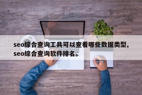seo综合查询工具可以查看哪些数据类型,seo综合查询软件排名。