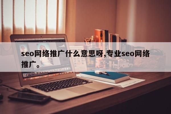 seo网络推广什么意思呀,专业seo网络推广	。