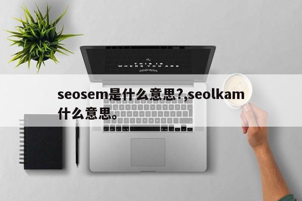 seosem是什么意思?,seolkam什么意思。