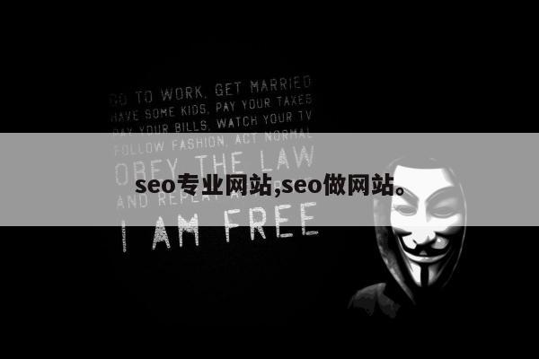 seo专业网站,seo做网站	。